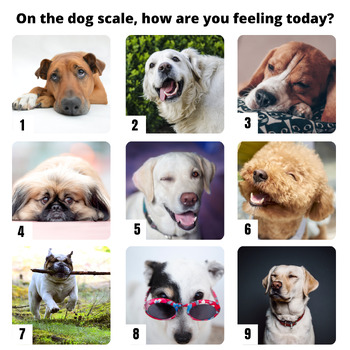 Dog Scale Emotion Check-In by Counseling with Color | TPT