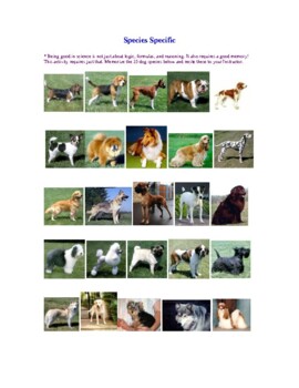 Preview of Dog Species Memorization Activity