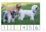 Dog Strip Puzzles 1-10 (real pictures)