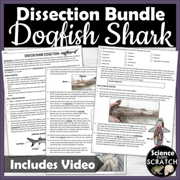 Preview of Dogfish Shark Dissection - High School or Middle School - Zoology