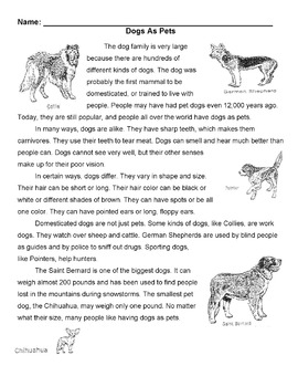 Preview of DOGS AS PETS Mini Lesson w/ 12 Read Comp Qs: Read for Details & Vocabulary