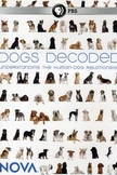 Dogs Decoded PBS Nova Viewing Guide