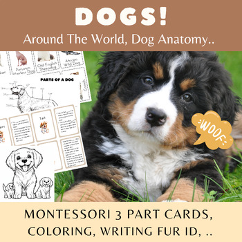 Preview of Dogs & Parts of a Dog/Montessori 3 Part Cards/Info Cards/Cut & Paste Activity