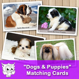 Matching cards - "Dogs & Puppies"