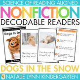 Dogs in the Snow Differentiated Nonfiction Decodable Reade