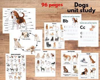 Preview of Dogs unit study, Dog anatomy and dog breeds three-part cards, Dog breeds posters
