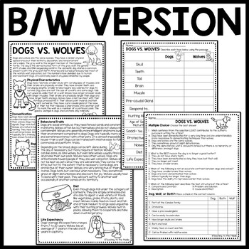 Dogs vs. Wolves Compare and Contrast Reading Comprehension Call of the Wild