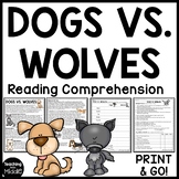 Dogs vs. Wolves Compare and Contrast Reading Comprehension