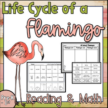 Preview of Flamingo Printable Activities and Emergent Readers for Kindergarten