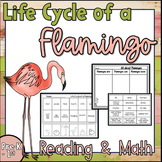 Flamingo Printable Activities and Emergent Readers for Kin