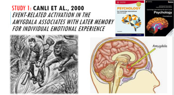 Preview of Canli et al 2000 Core study 1 Cambridge Int A Level Psychology