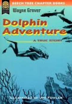Preview of Dolphin Adventure