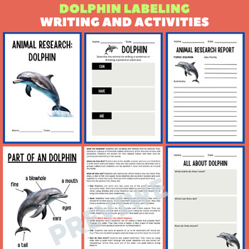 Preview of Dolphin Animal Research Project Report - Information Report Activities