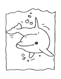 Dolphin Coloring Pages Worksheets Teaching Resources Tpt