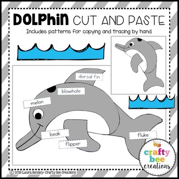 Preview of Dolphin Craft Ocean Animals Habitat Activities Sea Life Bulletin Board Labeling