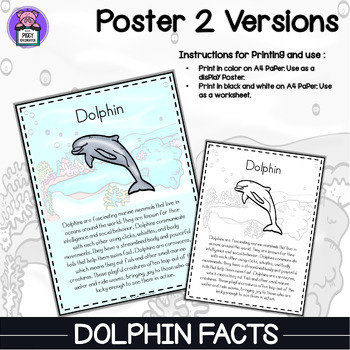 Dolphin Facts Reading Comprehension Passages and Questions - Ocean Animals