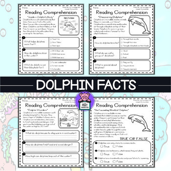 Dolphin Facts Reading Comprehension Passages and Questions - Ocean Animals