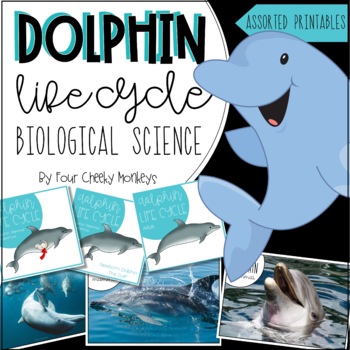 Preview of Dolphin Life Cycle | Biological Science Activities and Printables