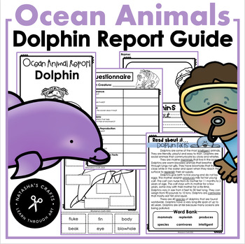 Preview of Dolphins Report Guide Booklet
