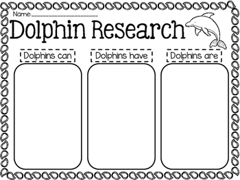 Dolphin Research by Kinder Kait | TPT