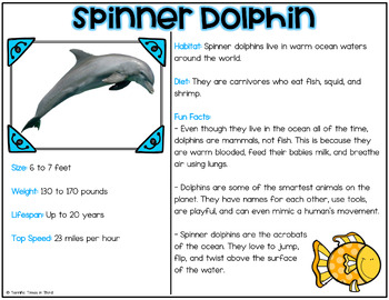 research paper topics about dolphins