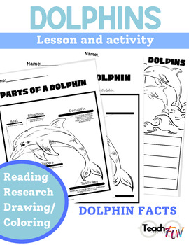 Dolphin activity by Teach Through Fun | TPT