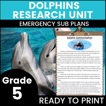 Preview of Dolphins 5th Grade Emergency Sub Plans Math English Science Substitute Binder