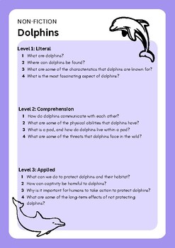Dolphins Comprehension Worksheet by Raising Daisies Educational Resources