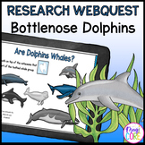 Dolphins Digital Research WebQuest Activity Google Slides 