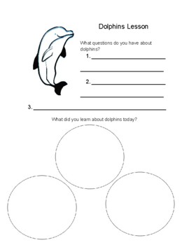 Dolphins Graphic Organizer by ThinkyThird | TPT