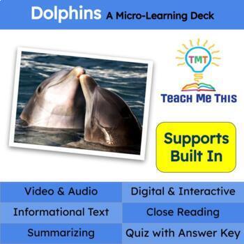 Preview of Dolphins Informational Text Reading Passage and Activities