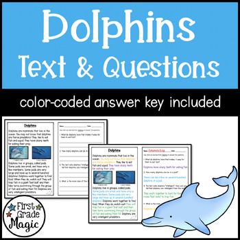 Preview of Dolphins Informational Text with Comprehension Questions