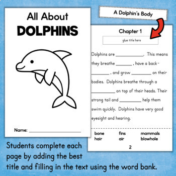 DOLPHINS Interactive Reading Comprehension Activity by Fishyrobb