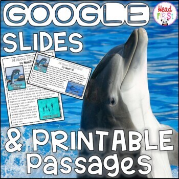 Preview of Dolphins NONFICTION Digital GOOGLE SLIDES and PRINTABLE Passages and Activities