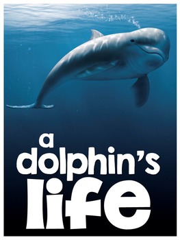 Preview of Dolphins - Nonfiction Activities