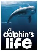Dolphins - Nonfiction Activities