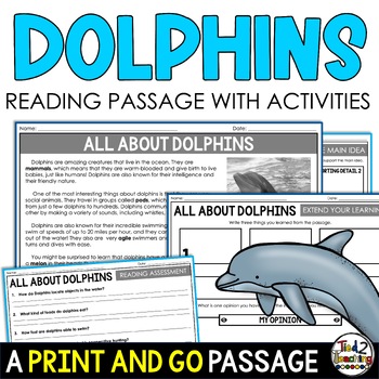 Dolphins Ocean Animal Research Dolphins Reading Passage by Tied 2 Teaching