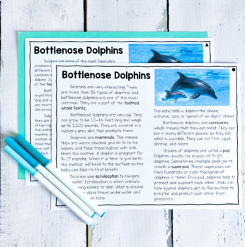 Dolphins Reading Activity | Differentiated Nonfiction by Poet Prints ...