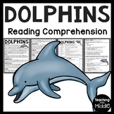 Dolphins Reading Comprehension Informational Text Workshee
