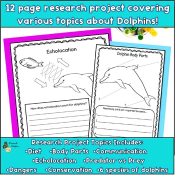 Dolphins Research Project by Monarch Masters | TPT