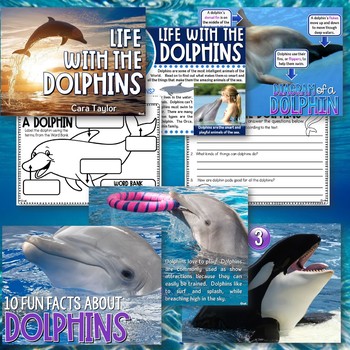 Dolphin Science Unit for Young Learners by Cara's Creative Playground