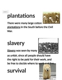Domain 9: The U.S. Civil War common core Vocabulary Cards