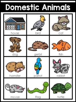 Domestic Animals Pets Writing Center Word List by Teach Fun in First