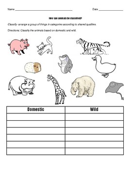 Domestic Animals Teaching Resources | TPT