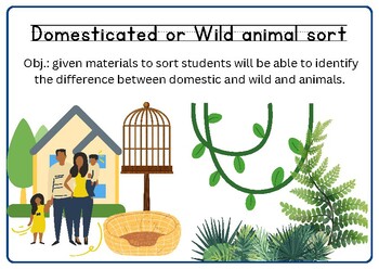 Preview of Domestic and Wild Animal Sort