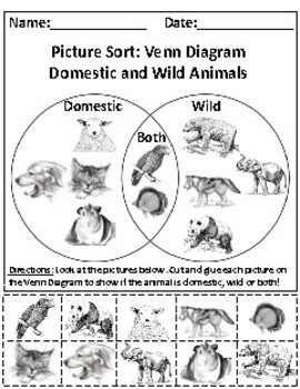 Preview of Domestic and Wild Animals Picture Sort Graph Activity for RI.K.7 and RI.K.9