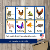 Domestic animals, Flash card in English to print and laminate..