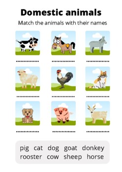 Domestic Animals Teaching Resources | TPT