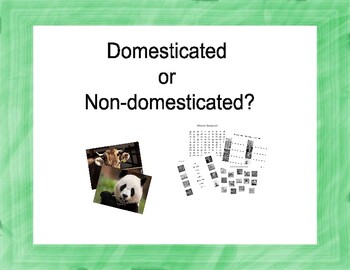 Preview of Domesticated/Non-domesticated animals