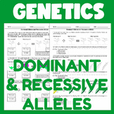 Dominant and Recessive Alleles (Genetics and Mendel's Laws